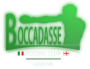 Sportifytheme logo